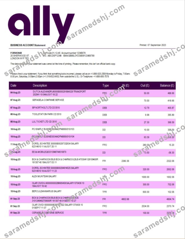 Ally Bank enterprise statement Word and PDF template